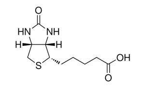D-BIOTIN For Biochemistry