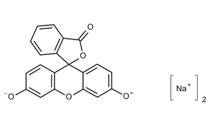 FLUORESCEIN SODIUM (uranin)