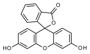 FLUORESCEIN (M.S)