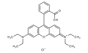 RHODAMINE B For Microscopy