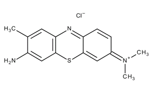 TOLUIDINE BLUE For Microscopy