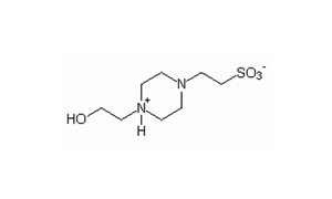 HEPES BUFFER For tissue culture