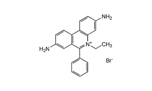 ETHIDIUM BROMIDE SOLUTION ~1% IN WATER For Fluorescence