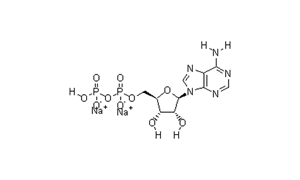 ADENOSINE 5'-DIPHOSPHORIC ACID DISODIUM SALT For Biochemistry
