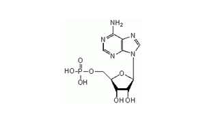 ADENOSINE 5-MONOPHOSPHORIC ACID SODIUM SALT For Biochemistry