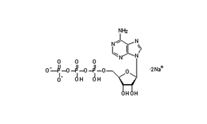 ADENOSINE 5'-TRIPHOSPHORIC ACID DISODIUM SALT For Biochemistry