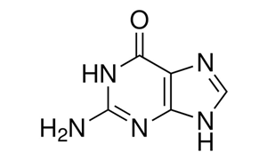 GUANINE For Biochemistry
