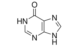 HYPOXANTHINE For Biochemistry