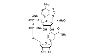 NICOTINAMIDE ADENINE DINUCLEOTIDE REDUCED DISODIUM For Biochemistry