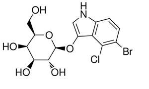 X-GAL (For Molecular Biology)