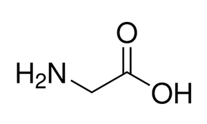 GLYCINE Molecular Biology