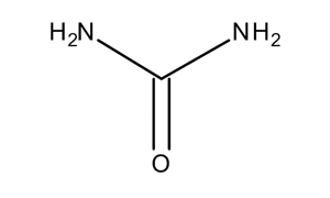 UREA Molecular Biology